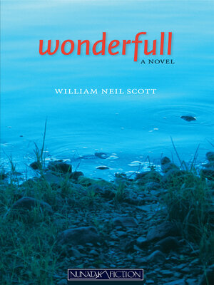 cover image of Wonderfull